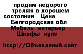 продам недорого треляж в хорошем состоянии › Цена ­ 3 500 - Белгородская обл. Мебель, интерьер » Шкафы, купе   